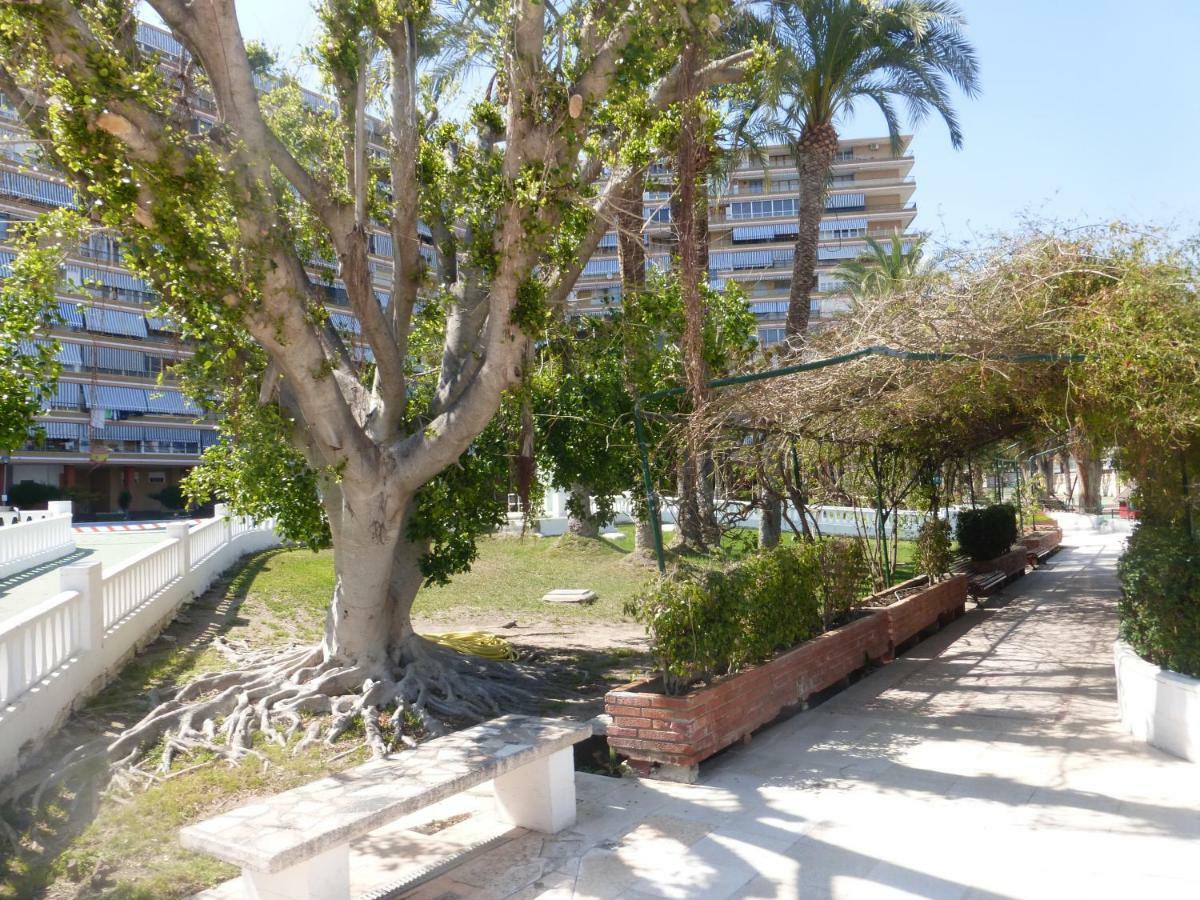 Family And Friends - San Juan Playa Apartment Alicante Luaran gambar